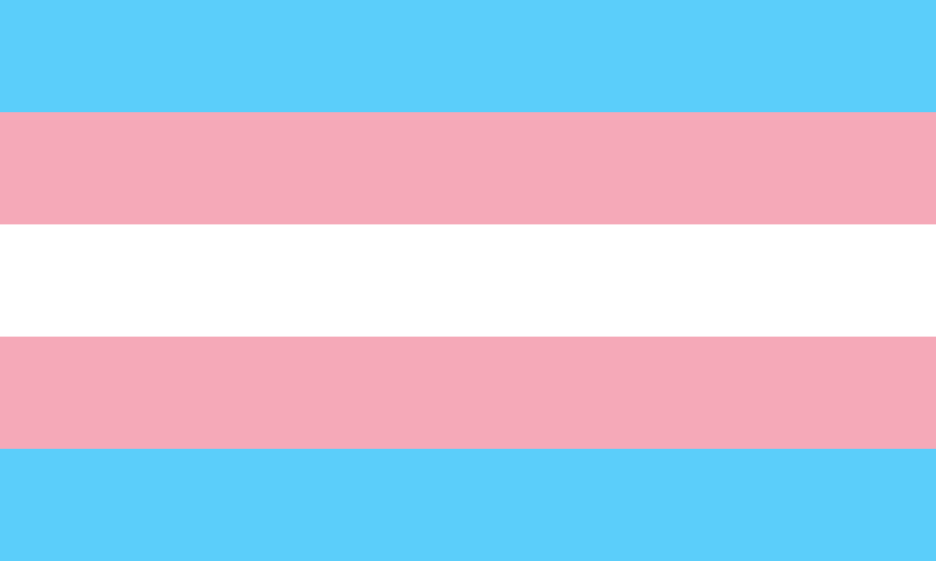 T: TRANSEXUAL, TRANSGÊNERO E TRAVESTI